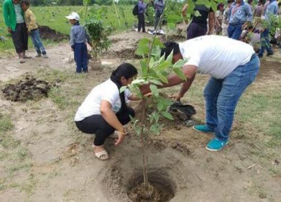 World Environment Day Celebration